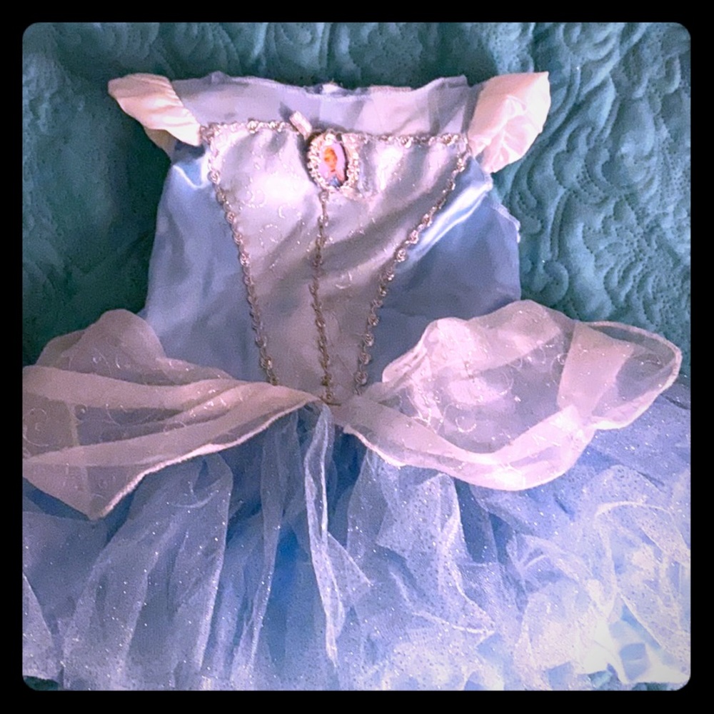 Cinderella dress